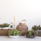 Arranjo Folhagem Artificial No Vaso Branco Baixo | Formosinha